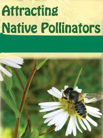 Inkednrcs141p2_01723_LI